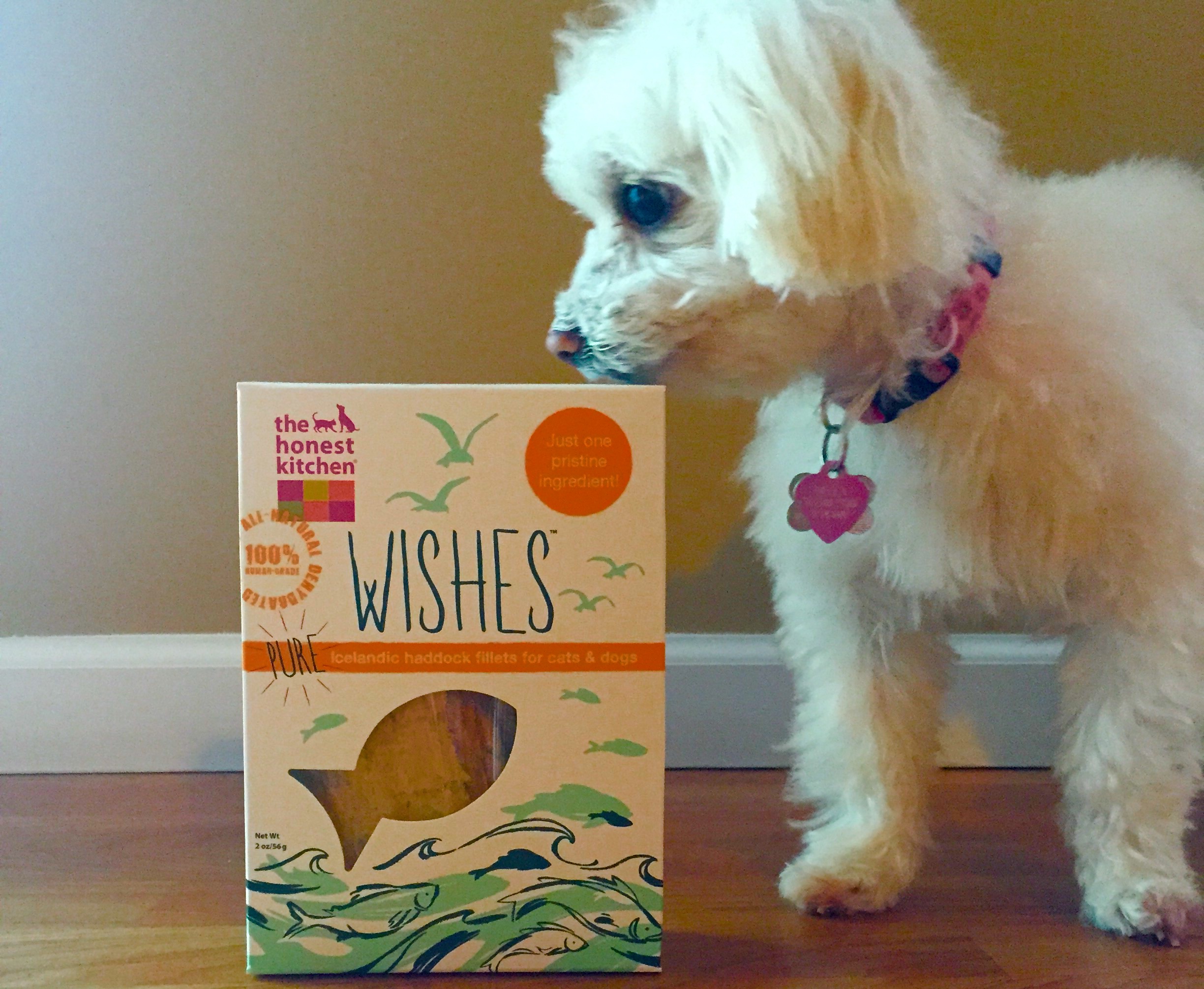 The Best Pet Treats on the Market Are…