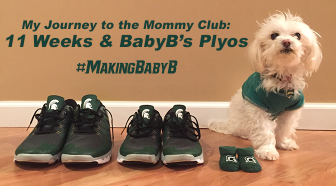 11 Weeks & BabyB’s Plyos